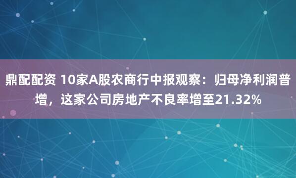 鼎配配资 10家A股农商行中报观察：归母净利润普增，这家公司房地产不良率增至21.32%