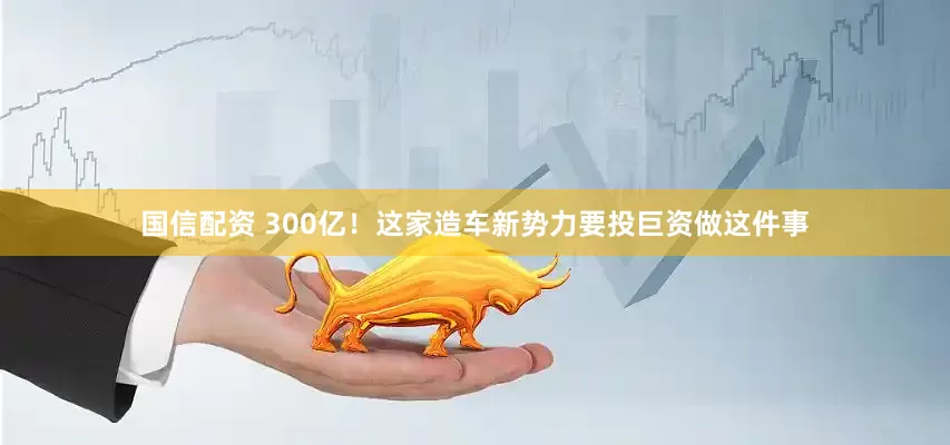国信配资 300亿！这家造车新势力要投巨资做这件事