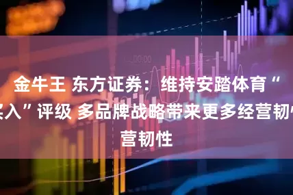 金牛王 东方证券：维持安踏体育“买入”评级 多品牌战略带来更多经营韧性